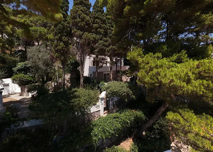 Casa Schiattarella 게스트하우스 카프리